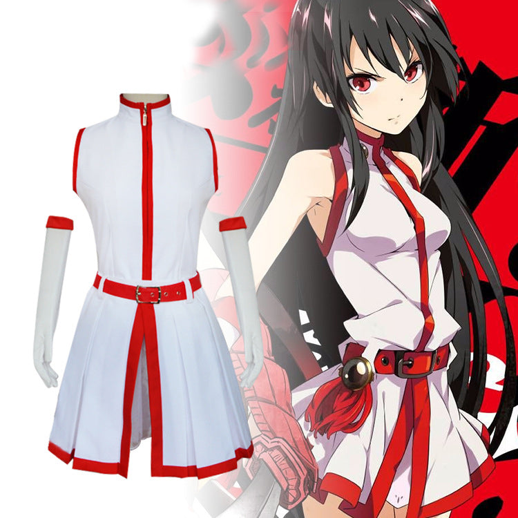 Anime Akame ga Kill! Akame Cosplay Costume White Dress With Wigs Full Set Halloween Costume