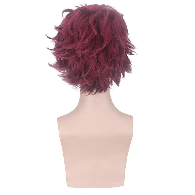 Anime Tanjiro Kamado Cosplay Wigs Costume Accessories