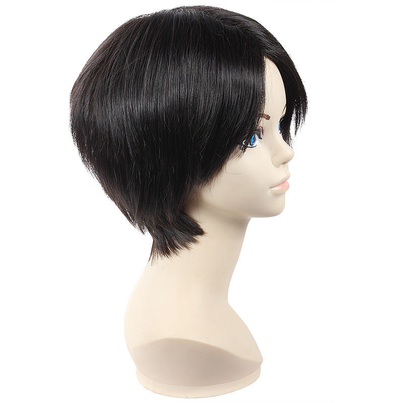 Attack On Titan Shingeki no Kyojin Levi Ackerman Cosplay Wigs