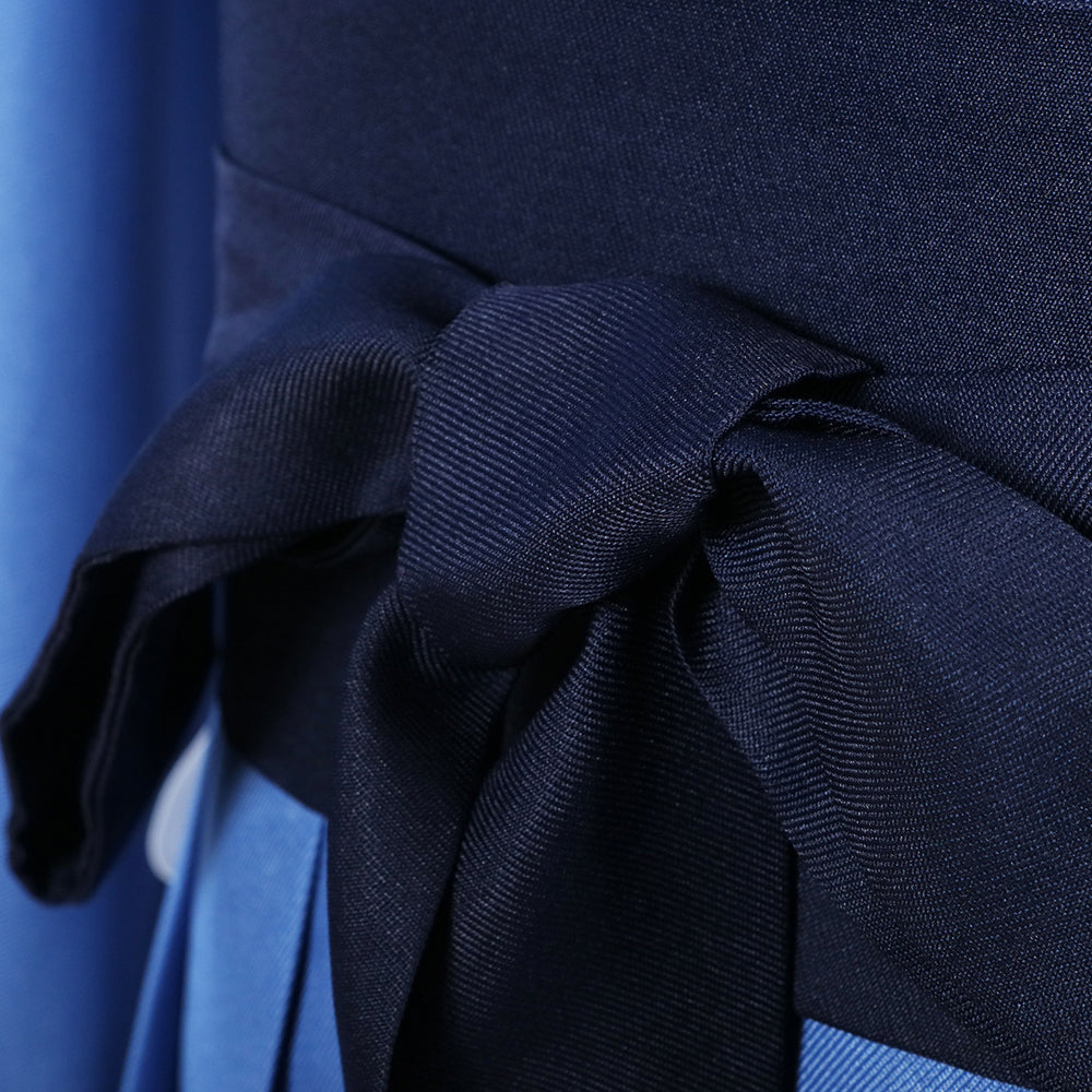 Jinshi Whole Set Costume With Wigs and Shoes The Apothecary Diaries Jinshi Halloween Cosplay Outfit Set