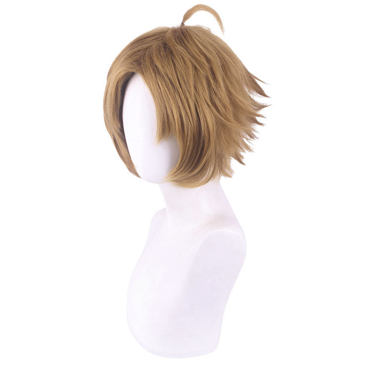 Rudeus Wigs Greyrat Cosplay Costume Wigs