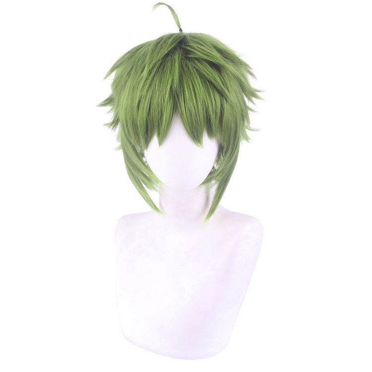 Sylphiette Cosplay Wigs Fitts Wigs Halloween Cosplay Accessories