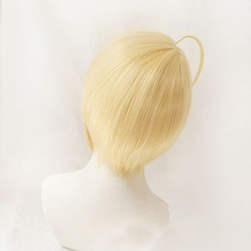 Shugo Chara! Tadase Hotori Cosplay Wigs