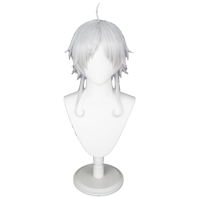 Sylphiette Cosplay Wigs Fitts Wigs Halloween Cosplay Accessories