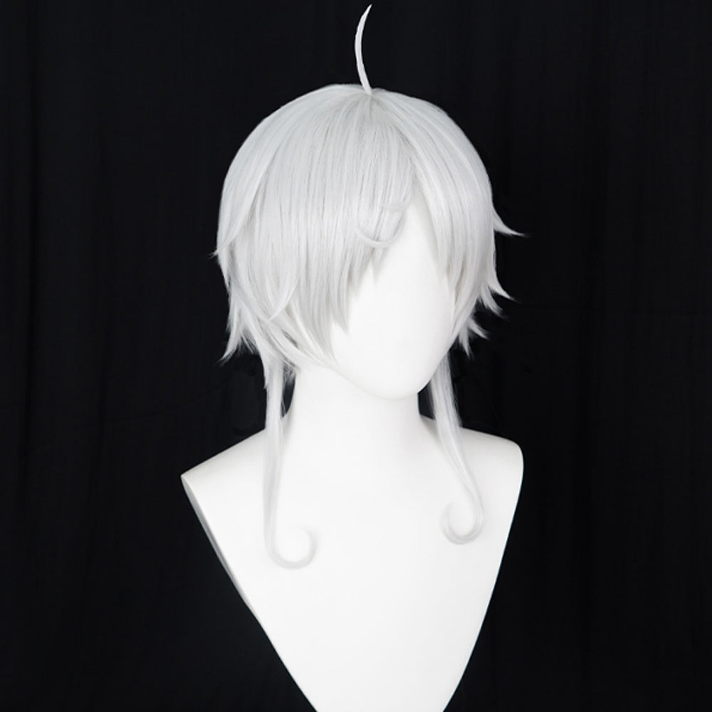 Sylphiette Cosplay Wigs Fitts Wigs Halloween Cosplay Accessories