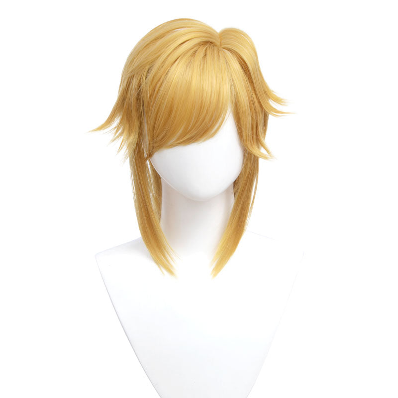 Kids Version Link Whole Set Cosplay Costume+Wigs+Cosplay Boots Halloween Carnival Costume Outfit Set