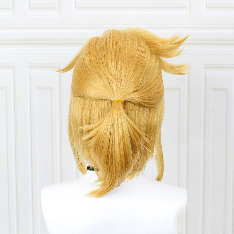 Link Costume Wigs Golden Wigs