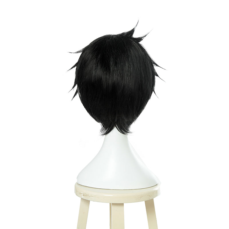 Naofumi Iwatani Cosplay Wigs Black Short Wigs Accessories